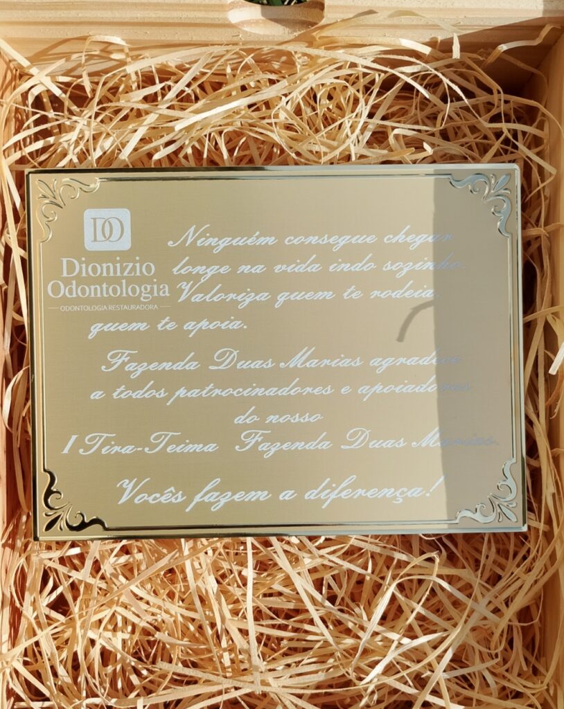 Foto real de um modelo de placa que foi gravado à laser 